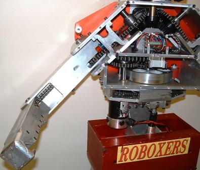 Boxing Robot Arm