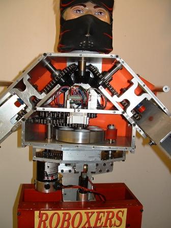 Robot Boxer Torso